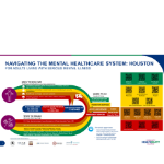 Navigating Systems of Care for Adults with Serious Mental Illness (PPT)
